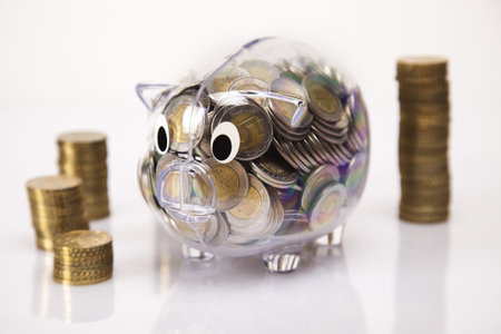 Piggy bank as concept