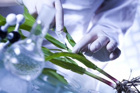 Science experiment with plant laboratoryの販売画像