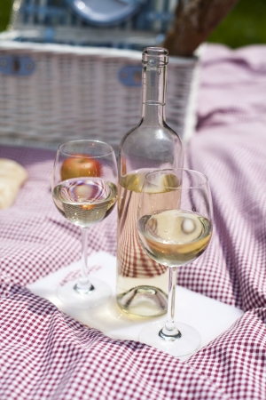 Wine and picnic basket on the grass の写真素材