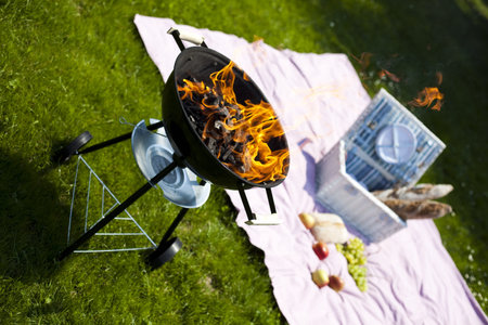  Picnic, Grilling time, Grill