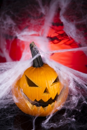  Halloween pumpkin Jack, spider webの写真素材