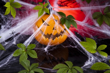 Scary Jack, halloween pumpkinの写真素材