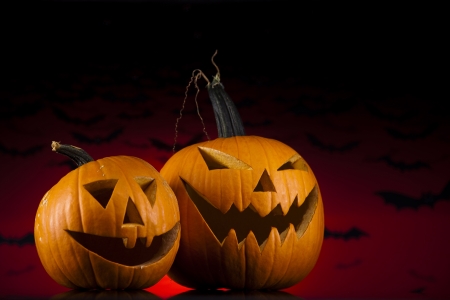 Halloween pumpkins in the Grass Batsの写真素材