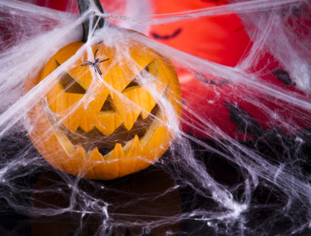 Halloween pumpkin Jack, spider webの写真素材
