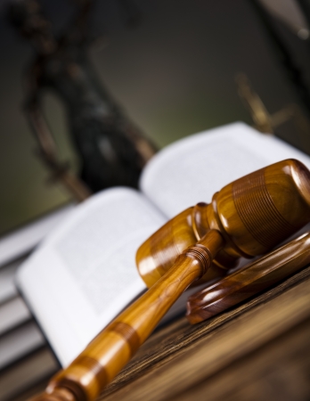 Legal gavel on a law book の写真素材