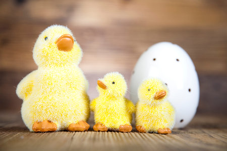 Little easter duck