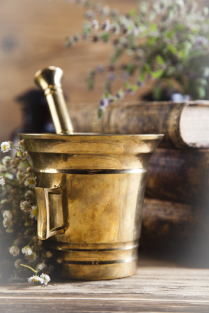 Assorted natural medical herbs and mortarの写真素材