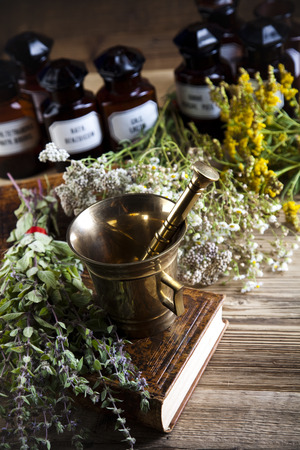 Natural medicine, herbs, mortarの写真素材