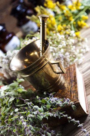 Fresh medicinal herbs on woodenの写真素材