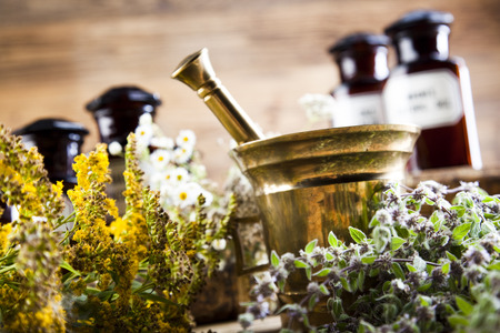 Natural medicine, herbs, mortarの写真素材