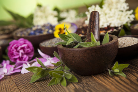 Assorted natural medical, herbs and mortarの写真素材
