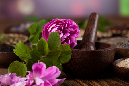 Assorted natural medical, herbs and mortarの写真素材