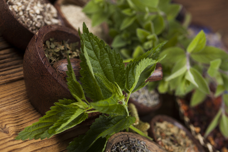 Natural medicine, wooden table backgroundの写真素材