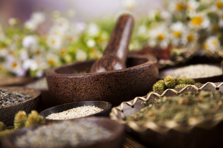 Assorted natural medical, herbs and mortarの写真素材