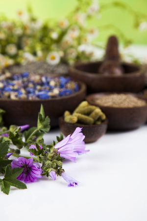 Natural medicine, herbs, mortarの写真素材