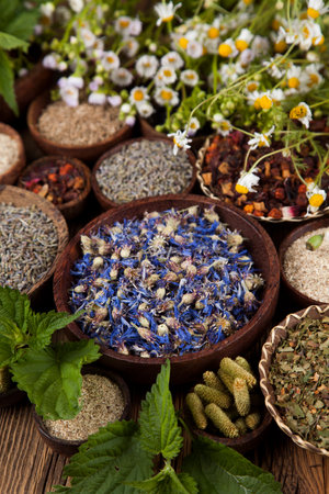Assorted natural medical, herbs and mortarの写真素材