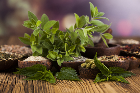 Natural medicine, herbs, mortarの写真素材