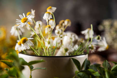 Natural medicine, herbs, mortar on wooden table backgroundの写真素材