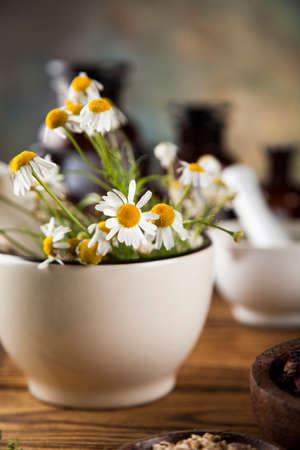 Healing herbs on wooden table, mortar and herbal medicineの写真素材