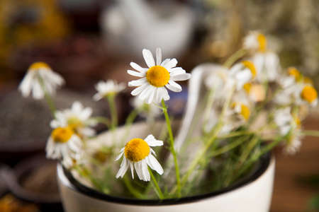 Healing herbs on wooden table, mortar and herbal medicineの写真素材