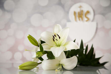 Holy communion a golden chalice with grapes and bread wafersの写真素材