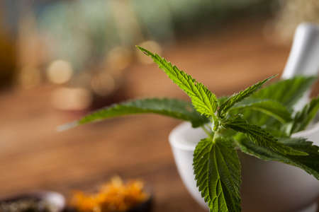 Natural medicine on wooden table backgroundの写真素材