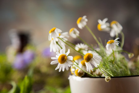 Natural medicine on wooden table backgroundの写真素材