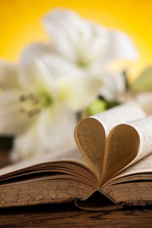 Eucharist, sacrament of communion backgroundの写真素材