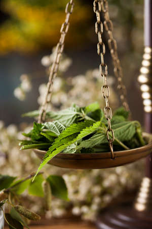 Natural medicine on wooden table backgroundの写真素材