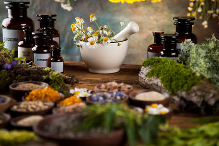 Herbs, berries and flowers with mortar, on wooden table backgroundの写真素材
