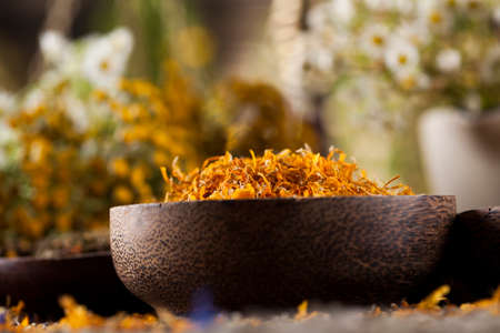 Fresh medicinal, healing herbs on woodenの写真素材