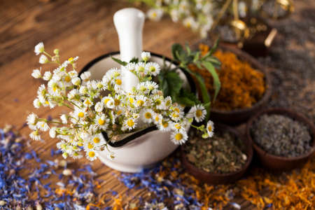 Herbs medicine,Natural remedy and mortar on vintage wooden desk backgroundの写真素材