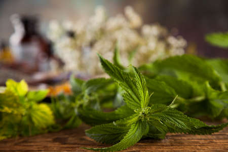 Fresh medicinal, healing herbs on woodenの写真素材