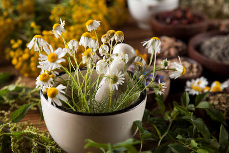 Natural medicine, herbs, mortar on wooden table backgroundの写真素材