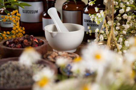 Fresh medicinal, healing herbs on woodenの写真素材