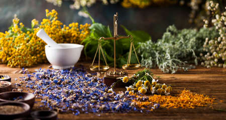 Herbs medicine,Natural remedy and mortar on vintage wooden desk backgroundの写真素材