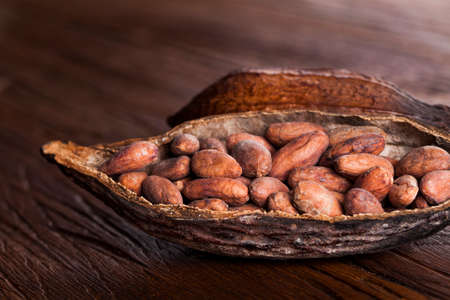 Cocoa pod on wooden tableの写真素材