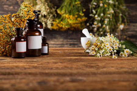 Fresh medicinal, healing herbs on woodenの写真素材