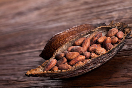 Cocoa pod on wooden tableの写真素材