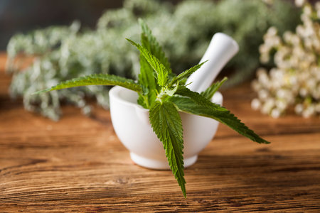 Herbal medicine on wooden desk backgroundの写真素材