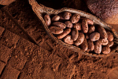 Chocolate bar, candy sweet, cacao beans and powder on wooden backgroundの写真素材