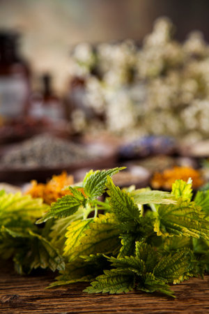 Natural medicine, herbs, mortar on wooden table background