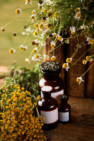 Book and Herbal medicine on wooden table backgroundの写真素材