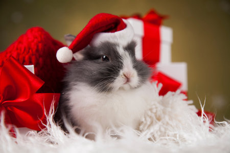 Holiday Christmas bunny in Santa hat on gift box background