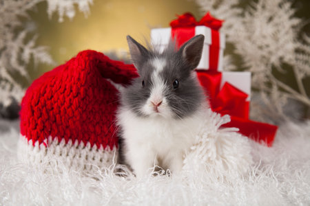 Holiday Christmas bunny in Santa hat on gift box background