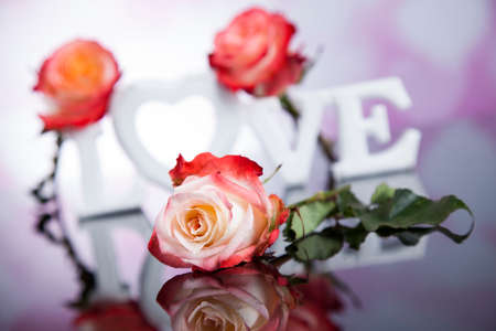 Love, Valentine's day concept, heart backgroundの写真素材