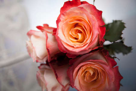 Valentine's day concept, heart backgroundの写真素材