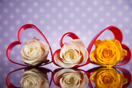 Heart background, Happy Valentine's Dayの写真素材