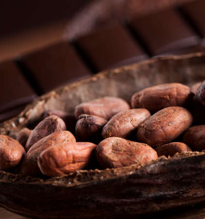 Cocoa pod on wooden backgroundの写真素材