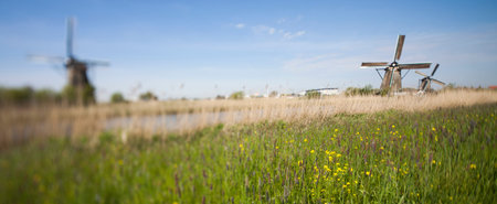 Dutch windmill in Kinderdijkの写真素材